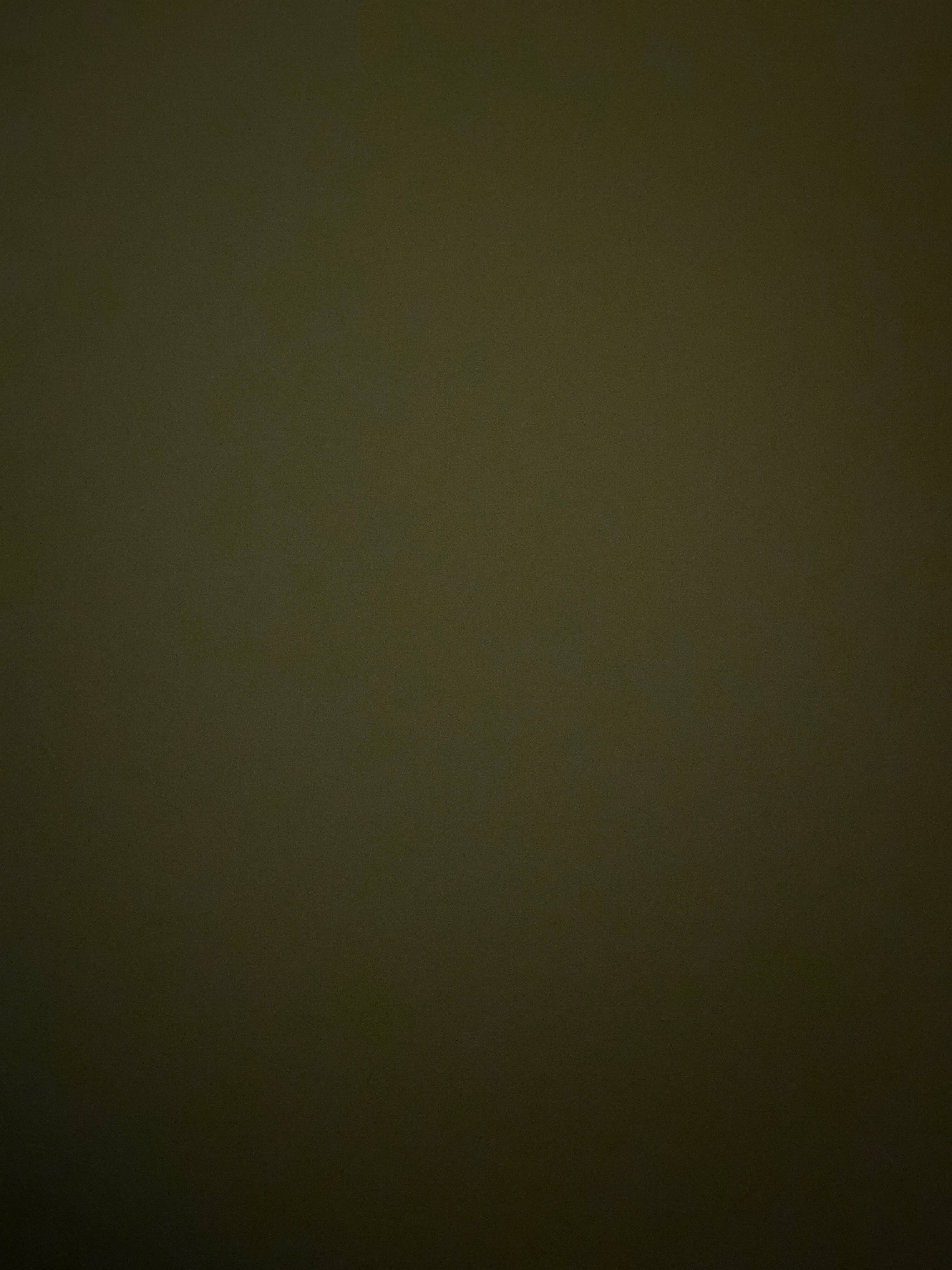 House Of Candy, Jalandhar Restaurant reviews