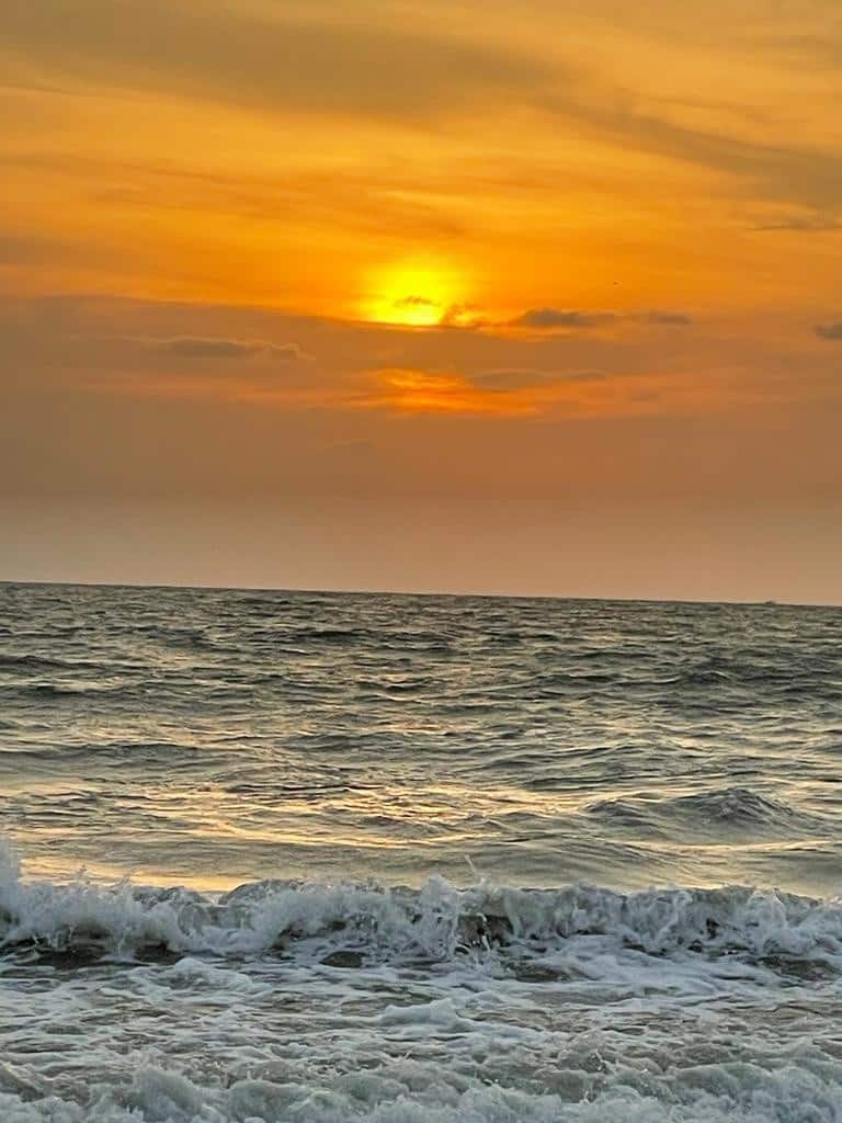 Chef Grill By Chef Vikas, Jammu, Channi Village Restaurant reviews