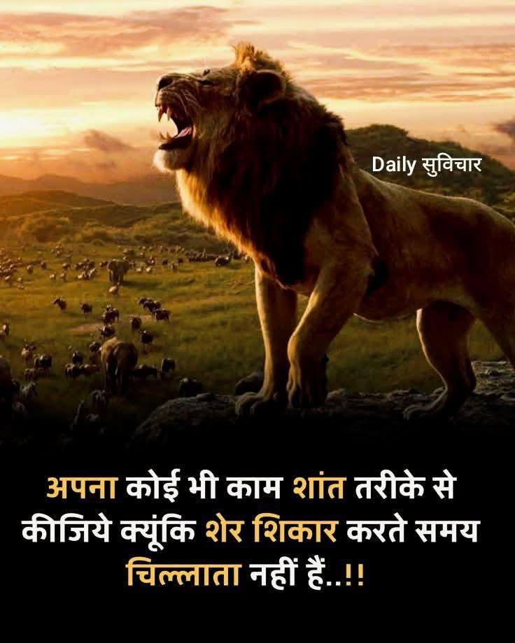 User