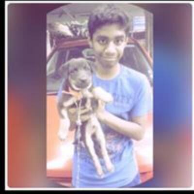 Raghib Hussain Chennai Zomato