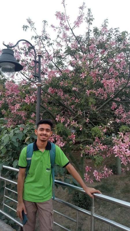 User