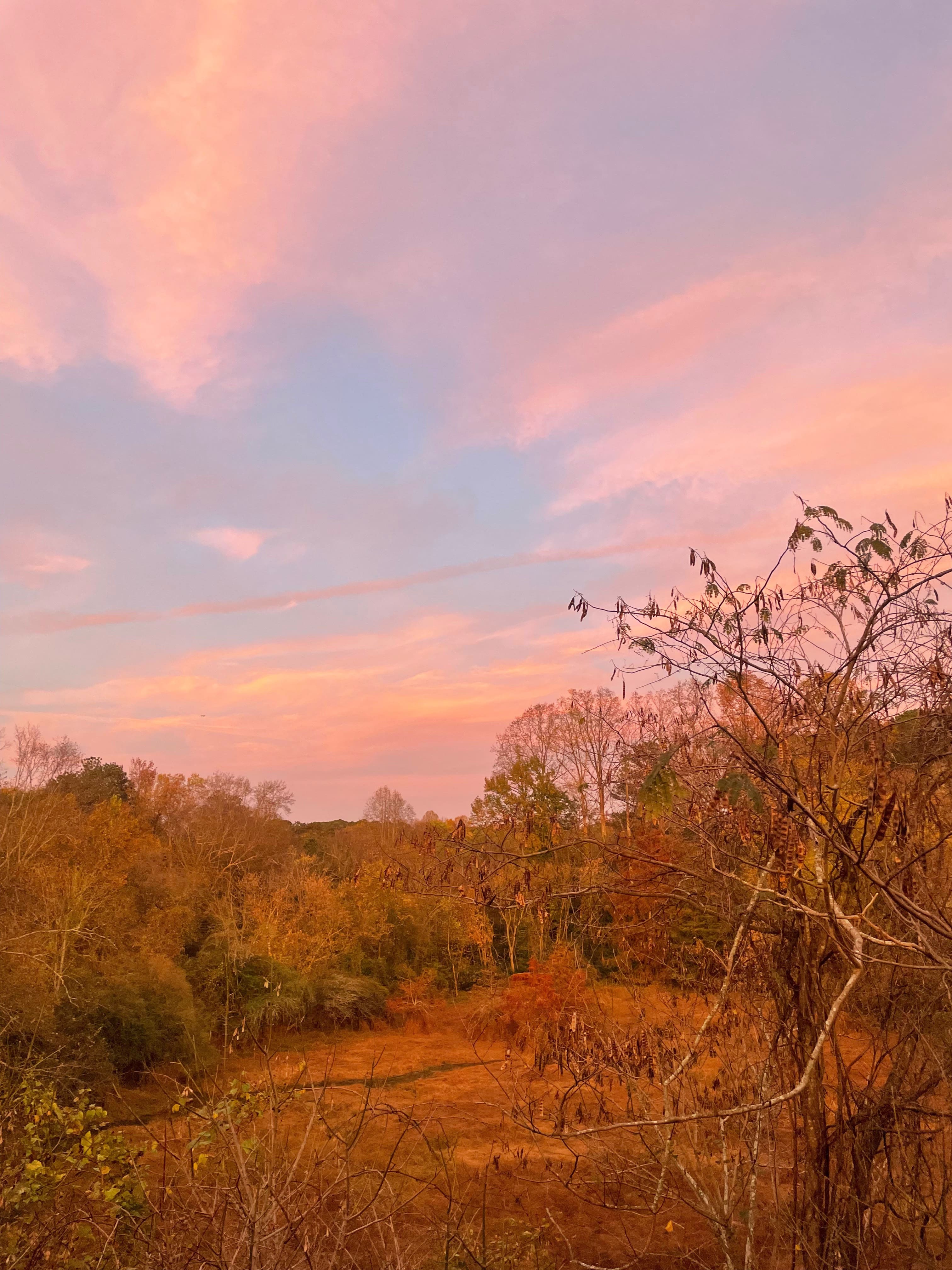 Shraddha Samir Mecheri
