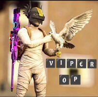 User