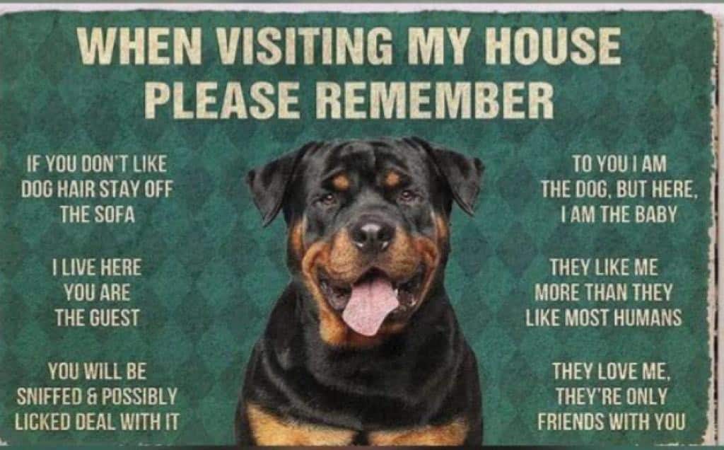 Jordan_An Epicure?☺️?