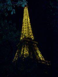 Rhea Rachelle Fernandes