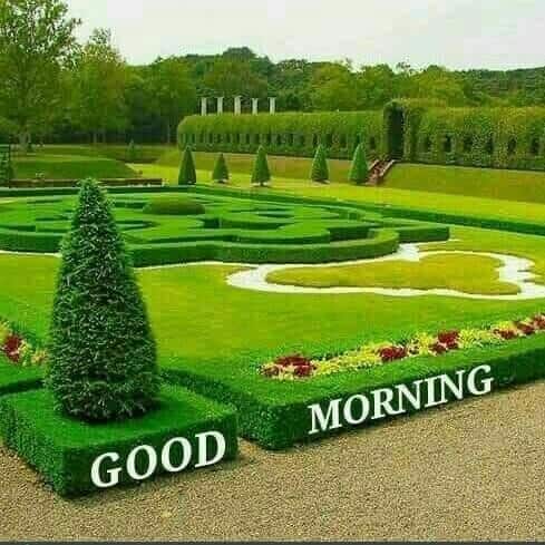 Ashok