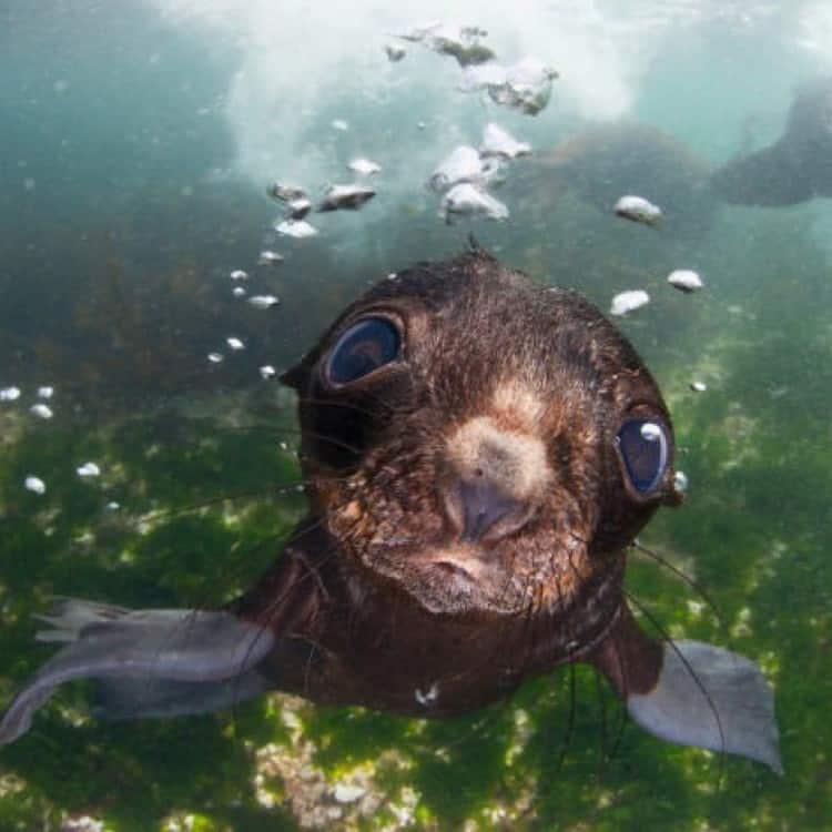 Sushi Box restaurant, Cape Town, Beau Constantia Wine Estate