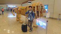User