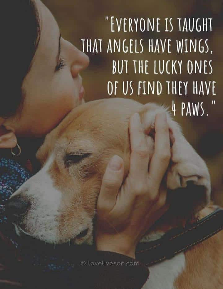 Elaine Suzana Correia