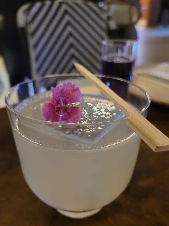 Khyati Bhatia Purohit