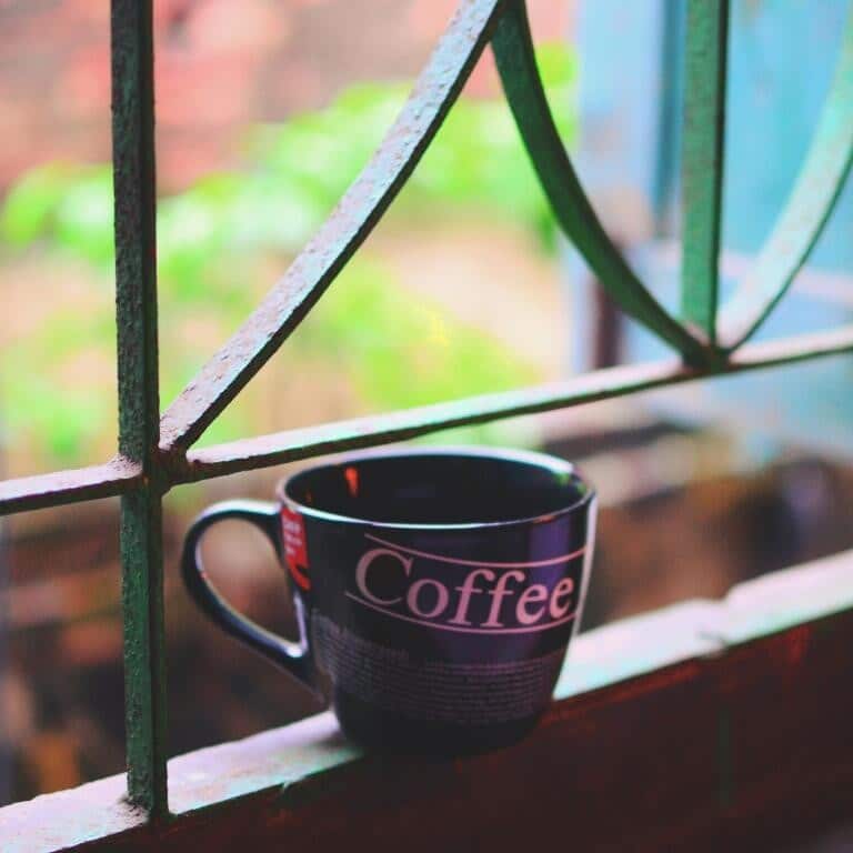 Sharmita Mohapajic Majumder