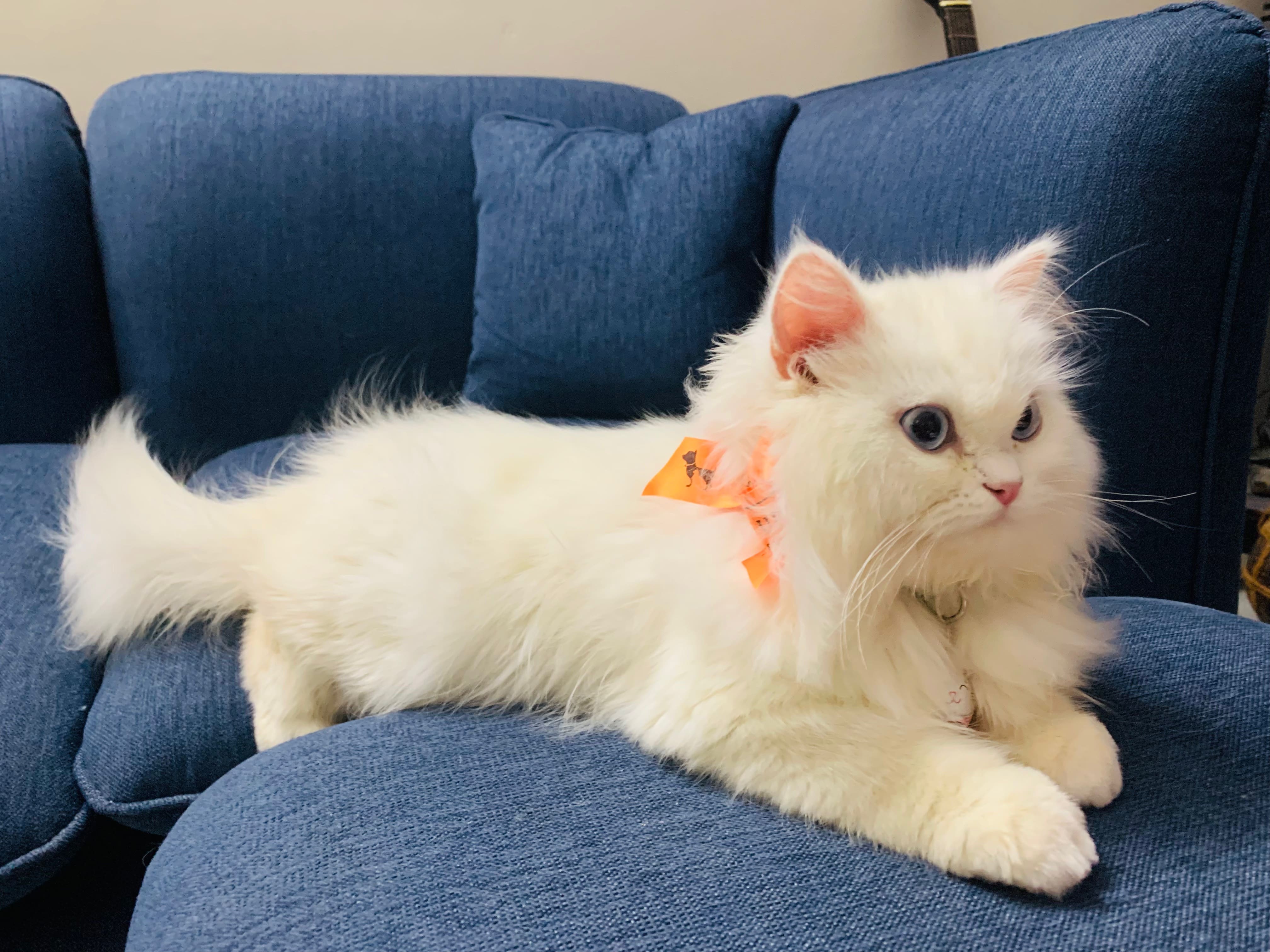 Douglas Edward Woods