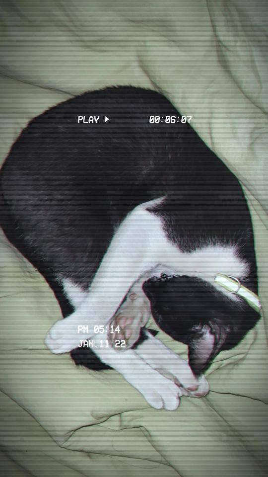 User