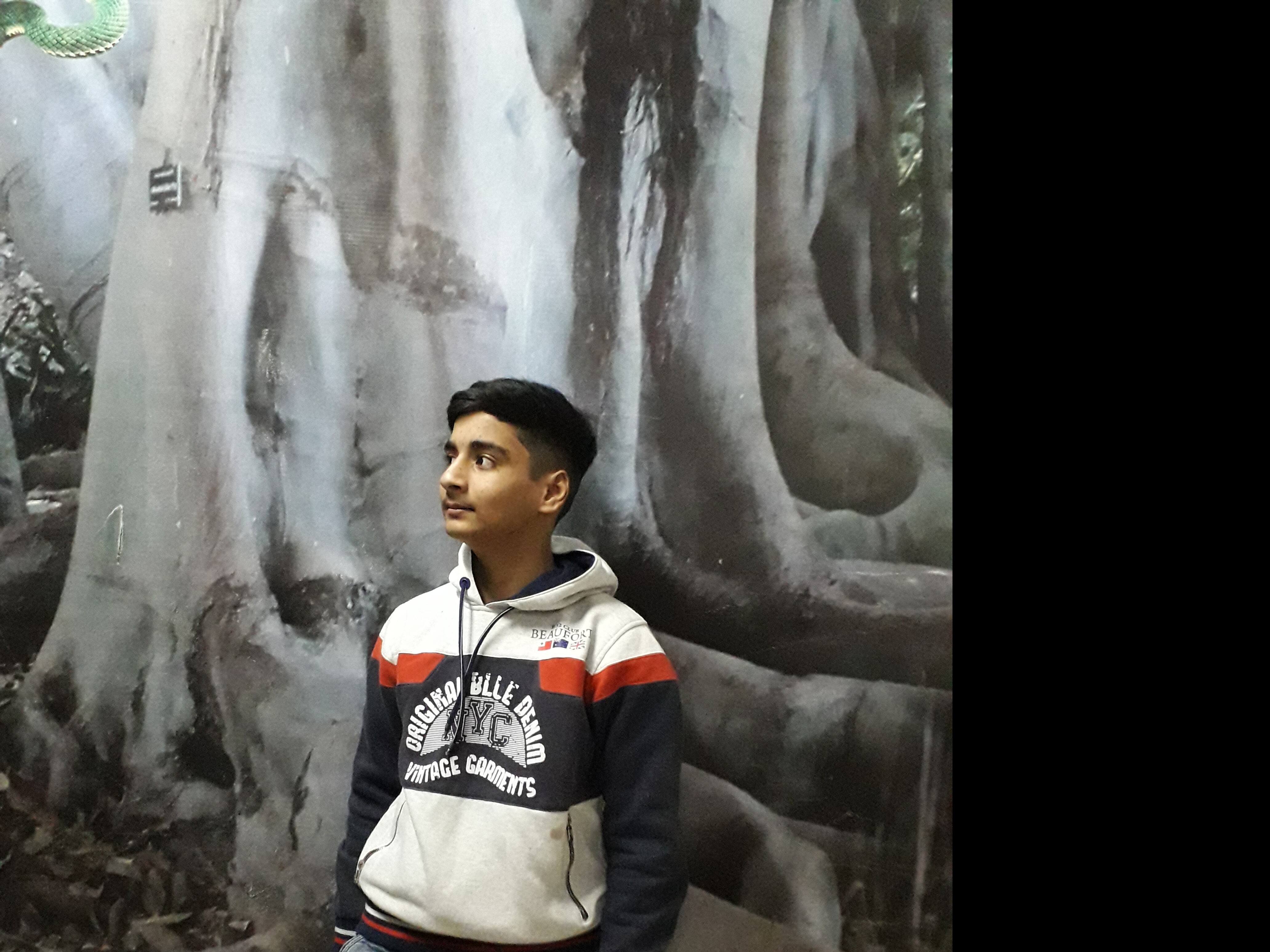 User