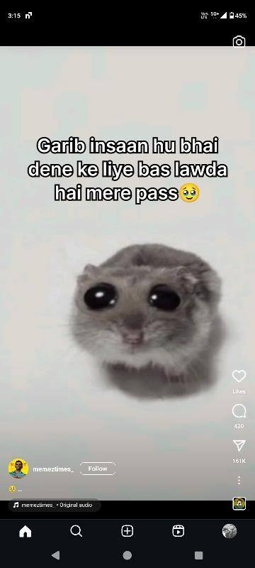 User