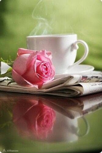 Anushree Tricannad Jnanashekar