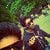 Siddharth Ganatra