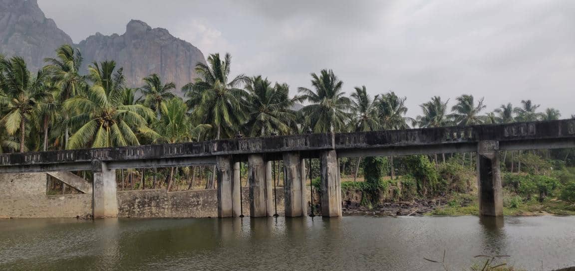 Dhanalakshmi Arumugam