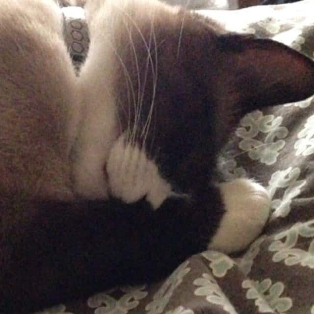 C M B