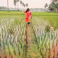 Selvakumari R Kandasamy