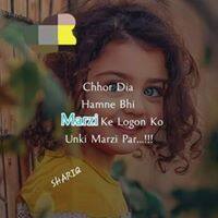 User