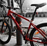 User
