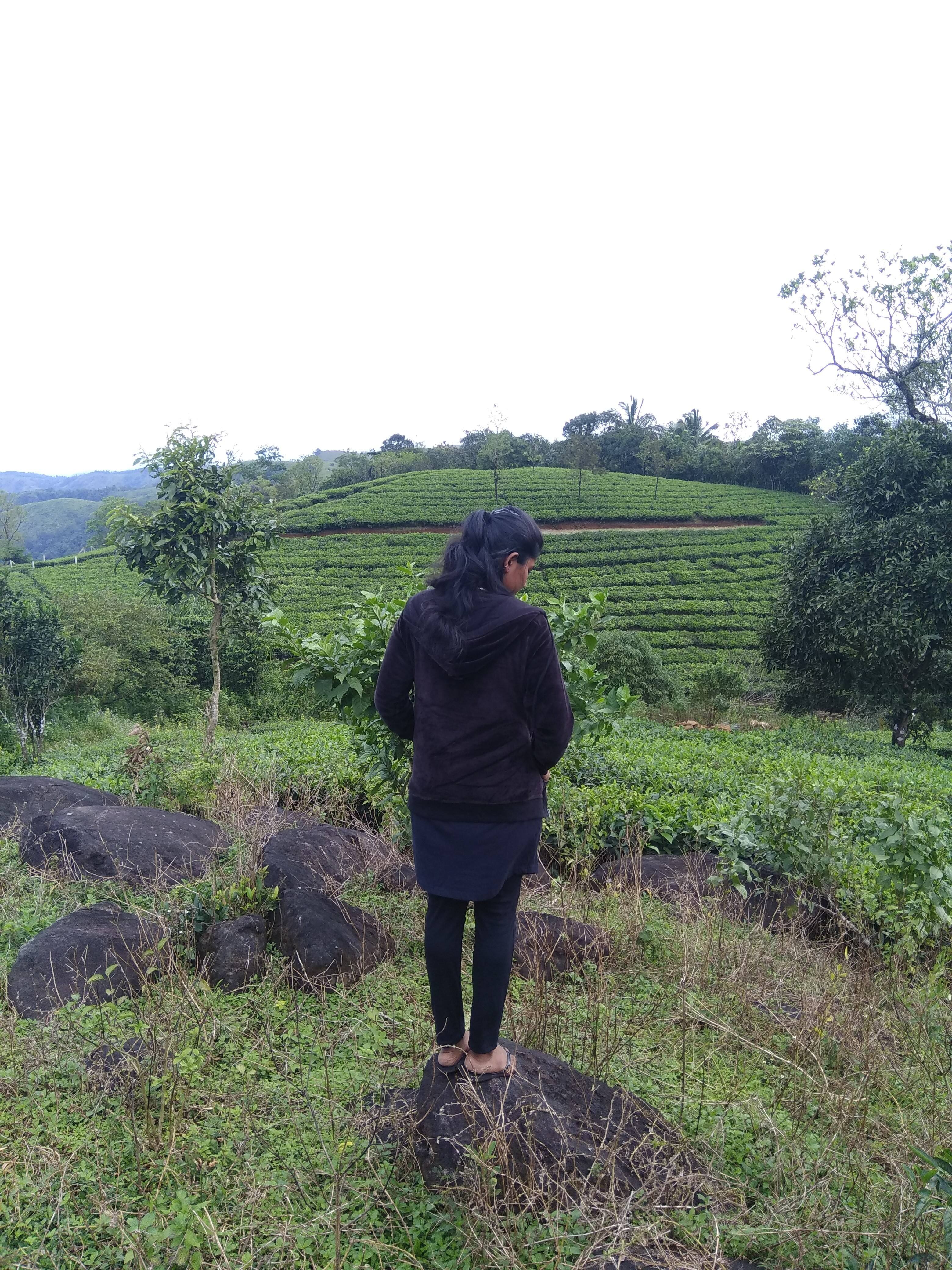 User