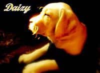 Shraddha Singh Raghuvanshi