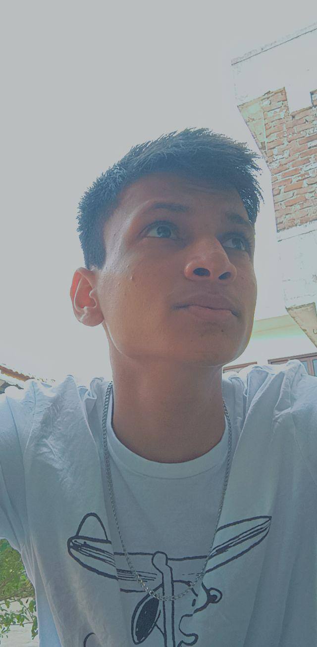 User