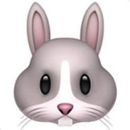 Priyancka Al Marwara