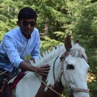 User