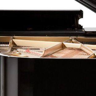 Nicholas B Choudhury