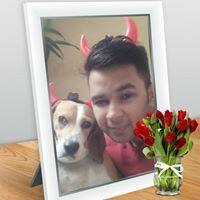 User
