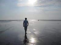 Darji Paresh