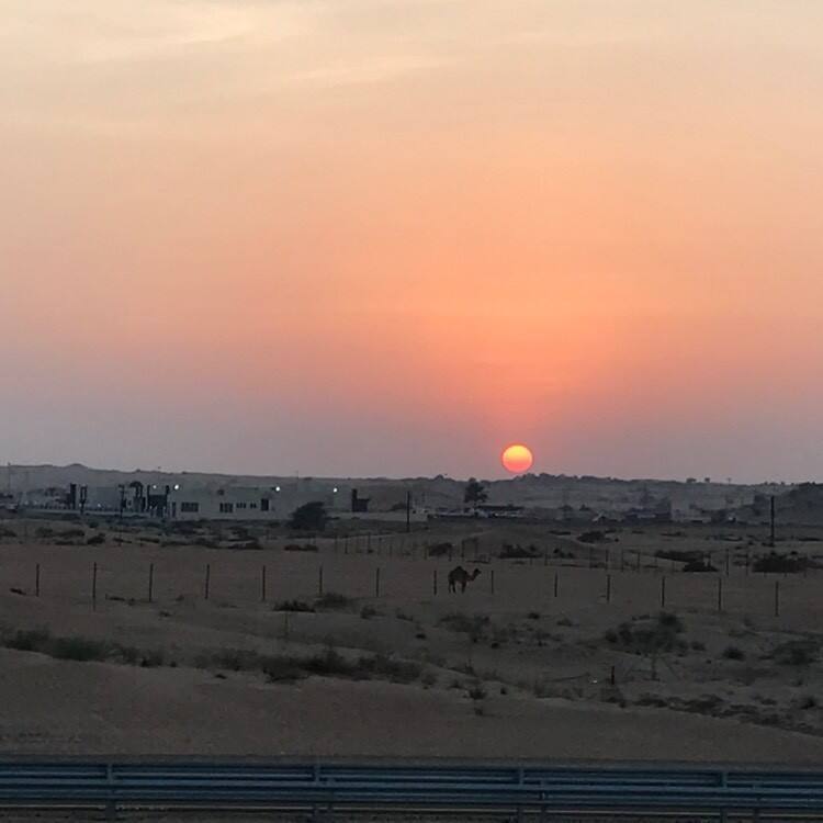 Sahira Jaskaran Bhullar