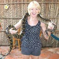 Susanne Willshire