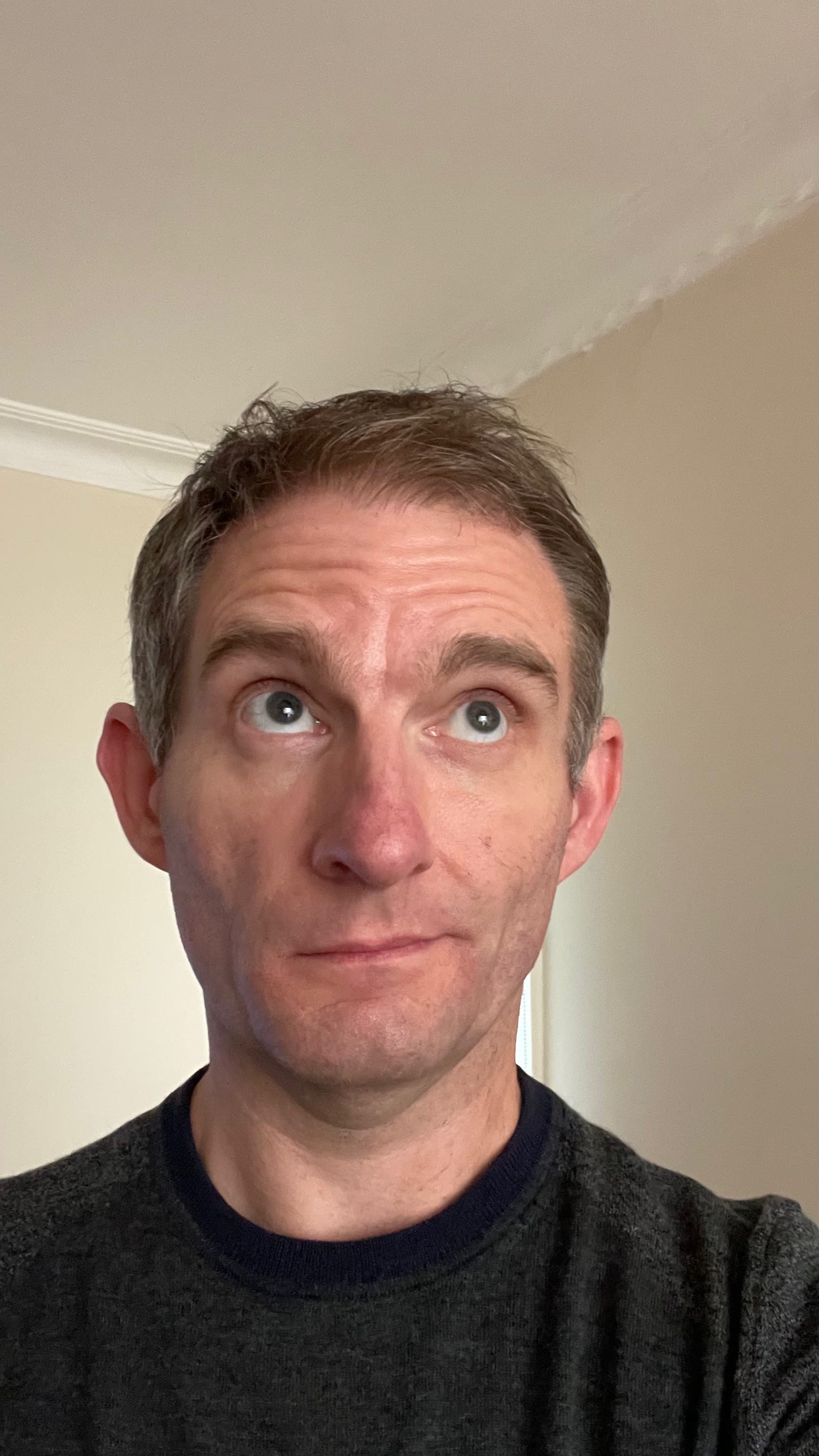 Stu
