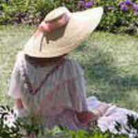 Sandra Chambers Wilmington North Carolina Zomato