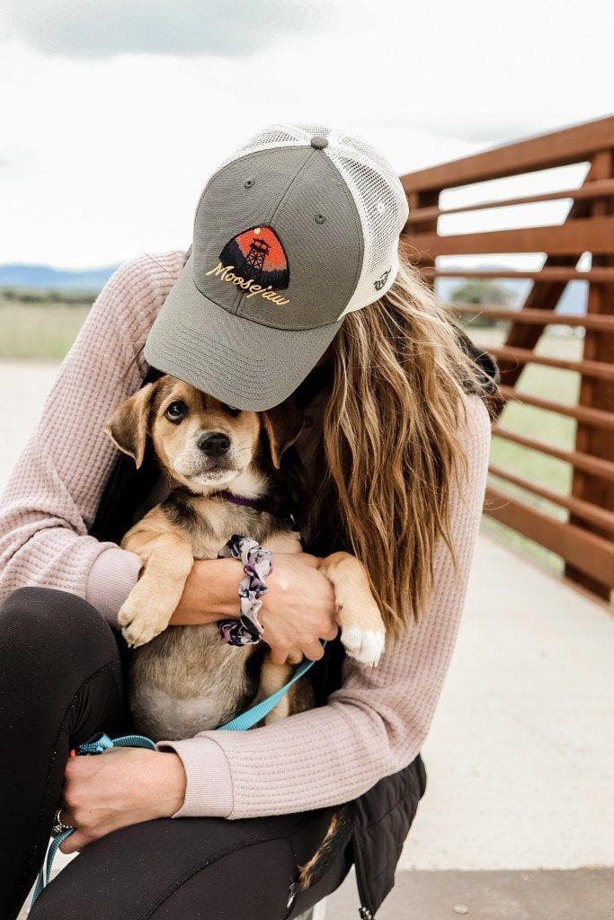 Shraddhu BaiSaa Rajput