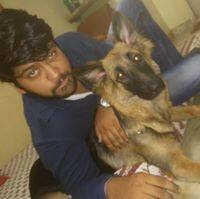 User