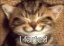 Famished Feline
