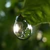 RainDrop