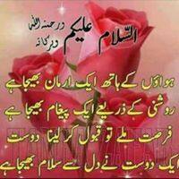 User