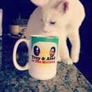 Meowsical