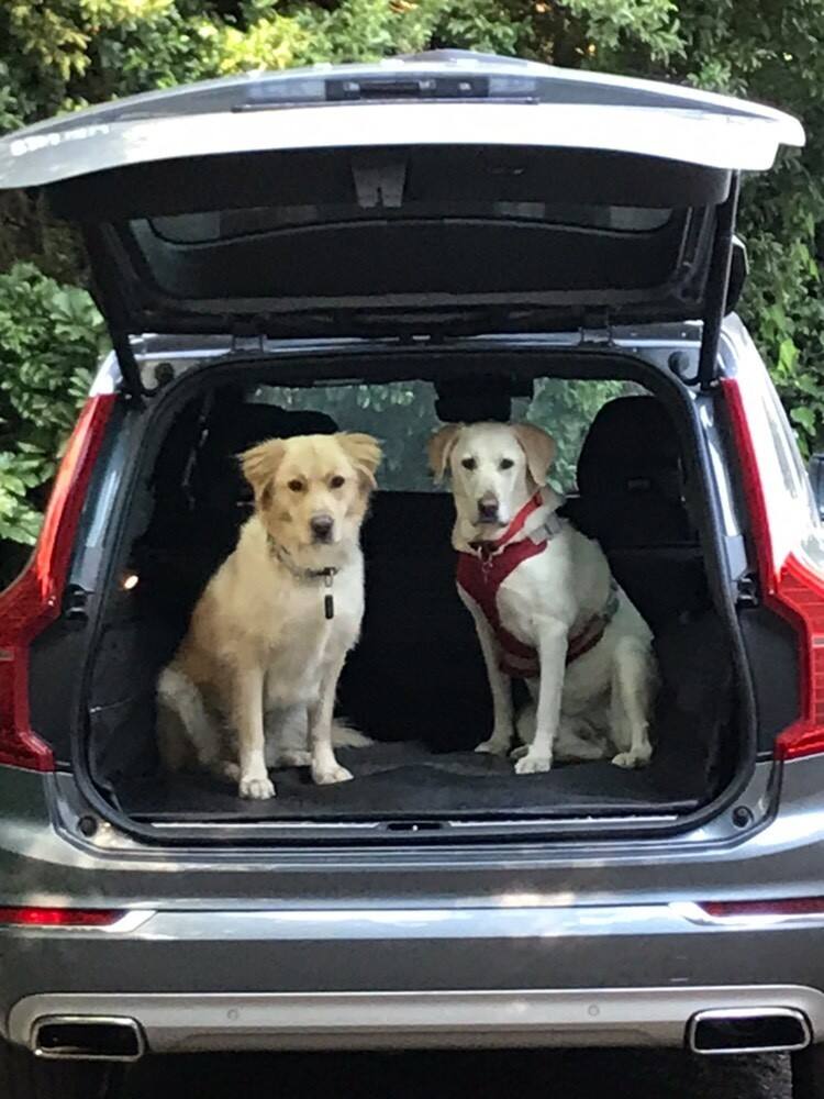 Vincent Bezuidenhout