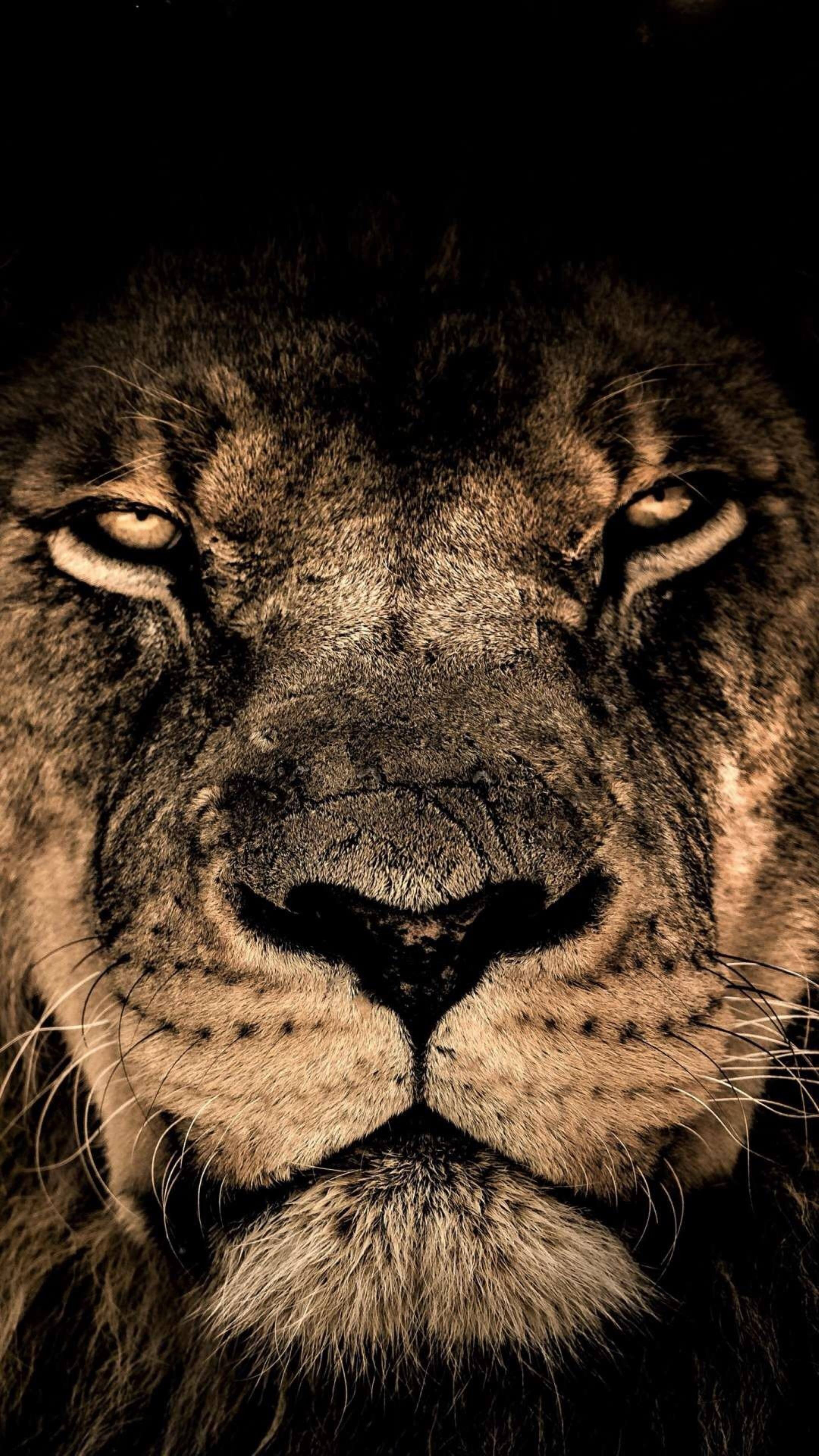 Keerthi Kumar Palivela