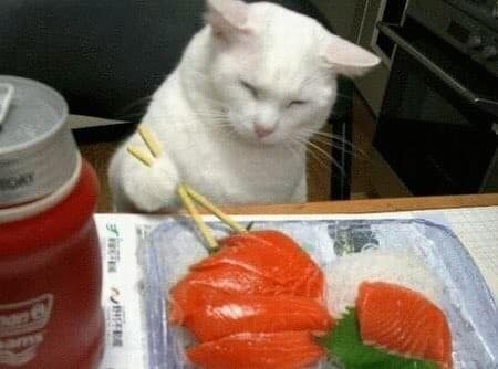 鹿