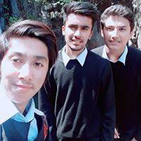 User