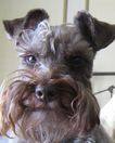 Barney's profile image