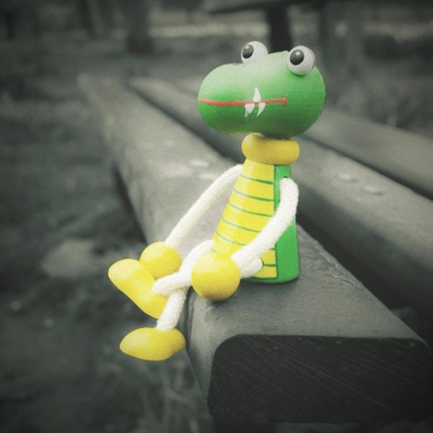 User